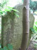 image of grave number 443662